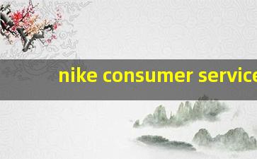 nike consumer services